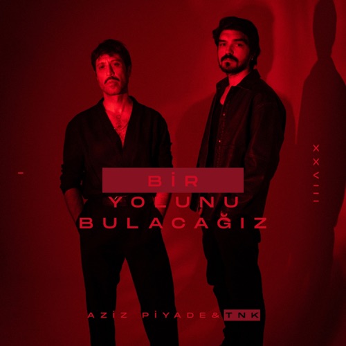 Bir yolunu bulacağız kapak görseli