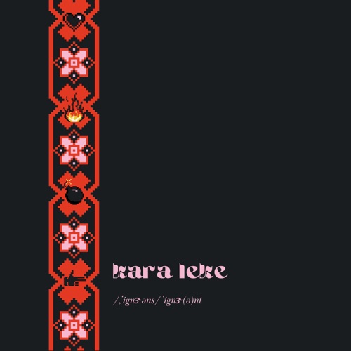 kara leke kapak görseli